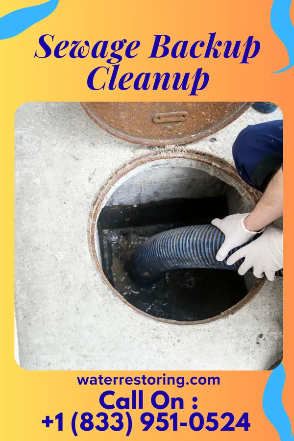 Sewage Backup Cleanup in Farmington, AR